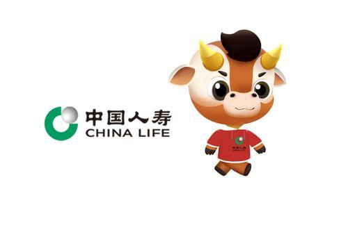 女子爆料中国人寿视频  第1张